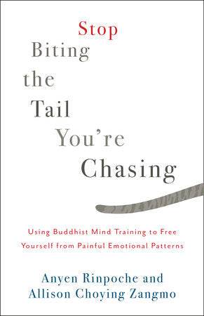 Stop Biting the Tail You're Chasing Using Buddhist Mind Training to Free Yourself from Painful Emotional Patterns