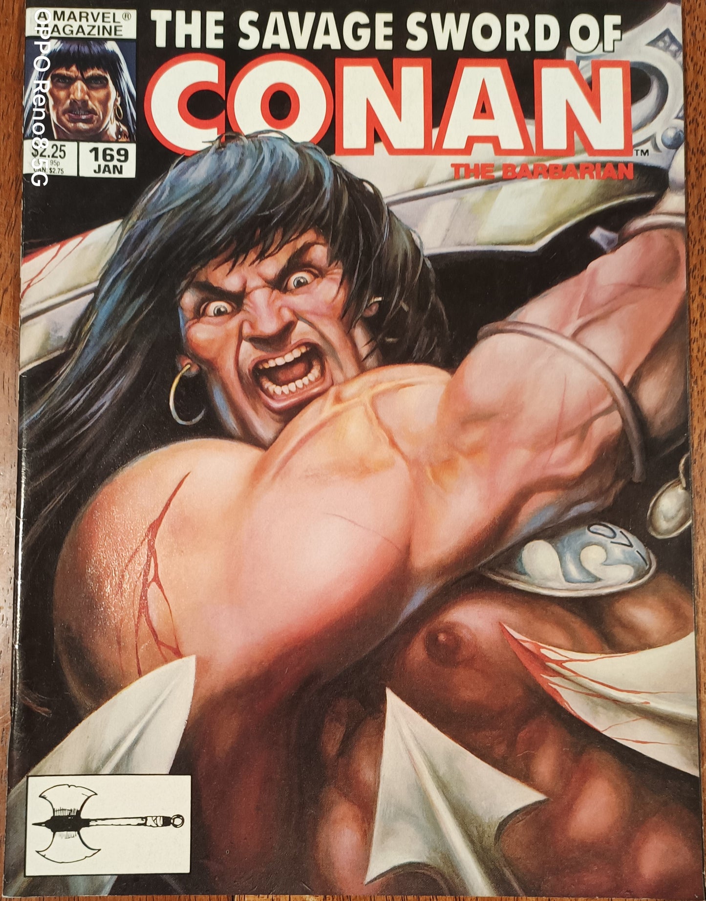 Marvel The Savage Sword of Conan the Barbarian #169