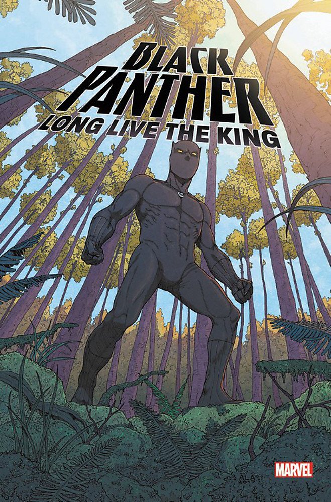 black panther, marvel comics, marvel graphic novel, marvel graphic novels - Best Books