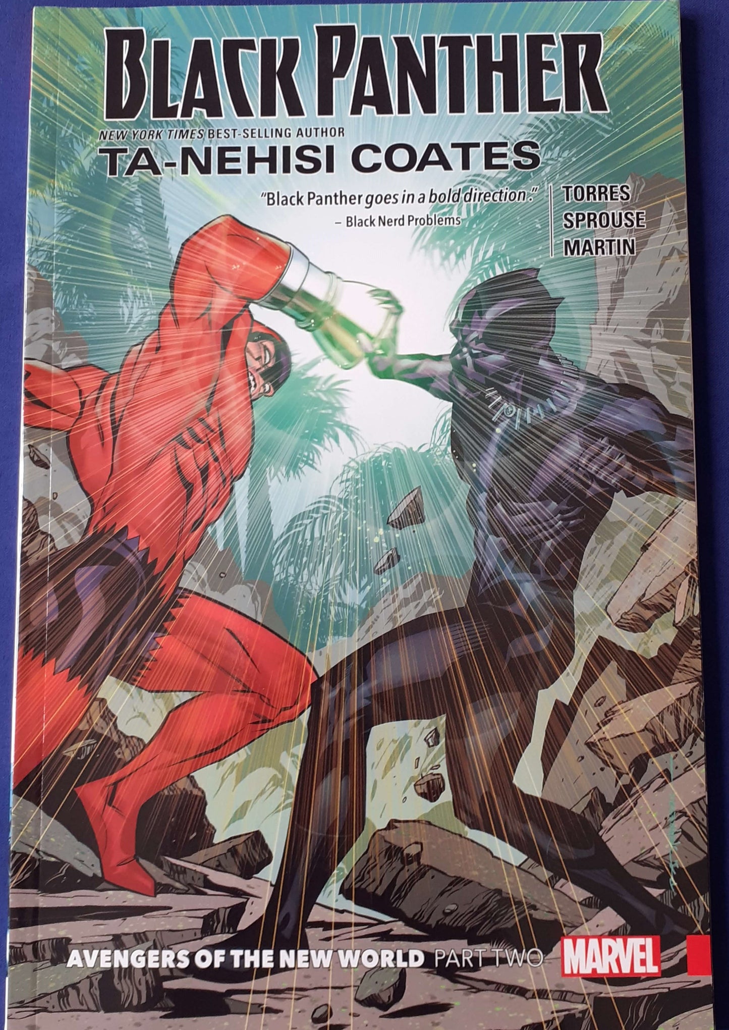 black panther, graphic novel, marvel comics, marvel graphic novels - Best Books