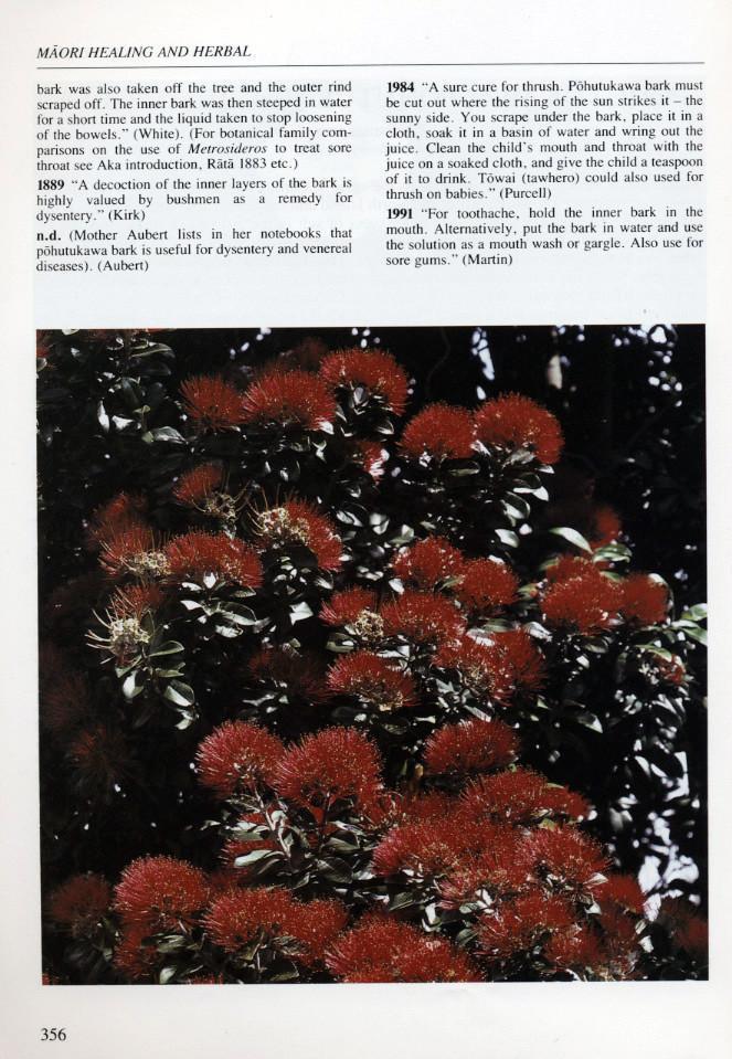 culture, ethnobotany, maori culture, Māori health and healing, new zealand books, science, traditional maori medicine - Best Books