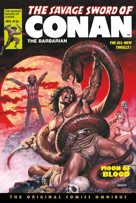 SAVAGE SWORD OF CONAN THE ORIGINAL COMICS OMNIBUS HC VOL 04 REGULAR EDITION EARL NOREM (MR)