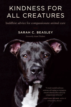 Kindness for All Creatures Buddhist Advice for Compassionate Animal Care