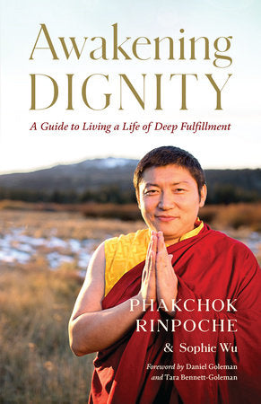 Awakening Dignity A Guide to Living a Life of Deep Fulfillment