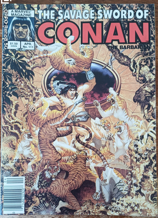 Marvel The Savage Sword of Conan the Barbarian #111