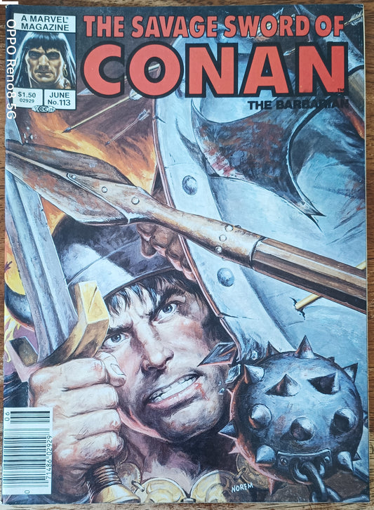 Marvel The Savage Sword of Conan the Barbarian #113