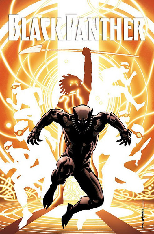 black panther, marvel comics, marvel graphic novel, marvel graphic novels - Best Books