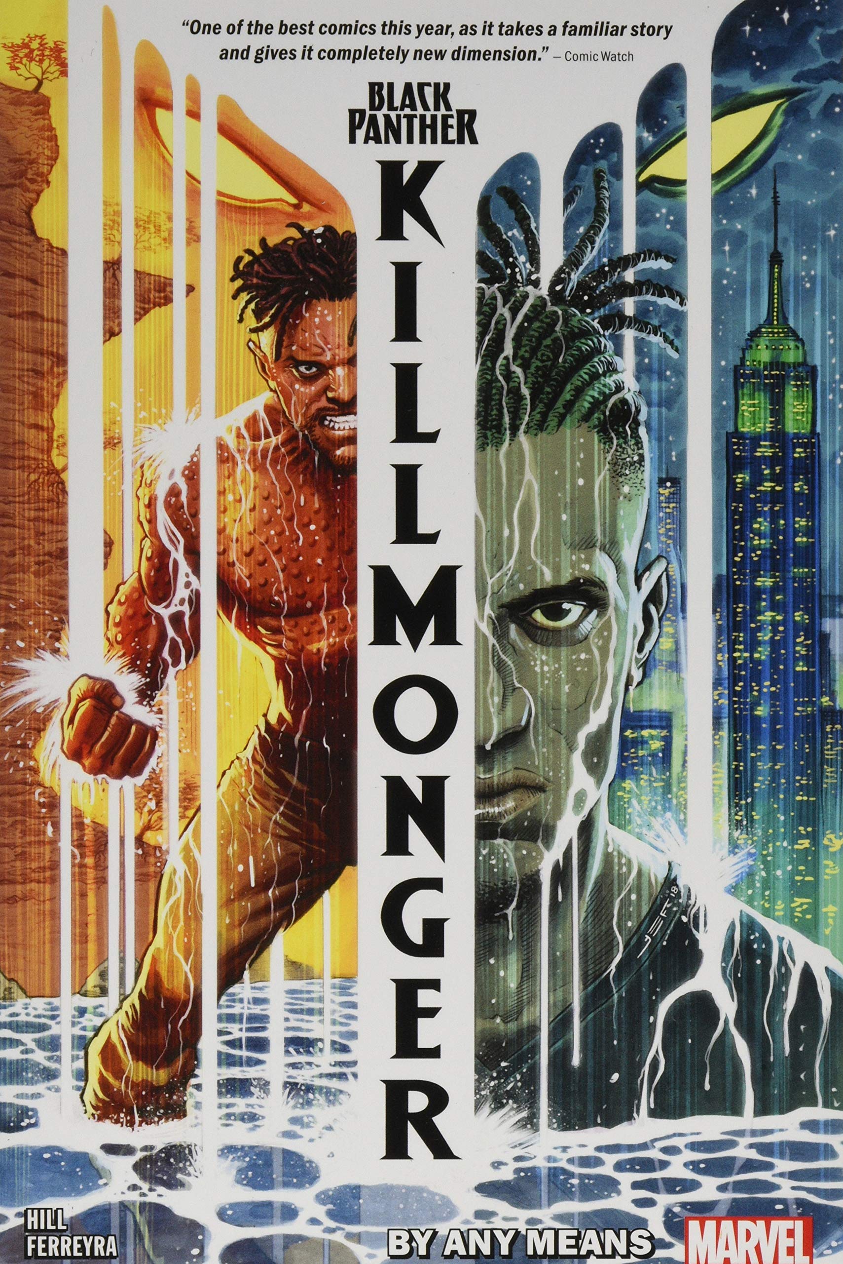 black panther, marvel comics, marvel graphic novel, marvel graphic novels - Best Books
