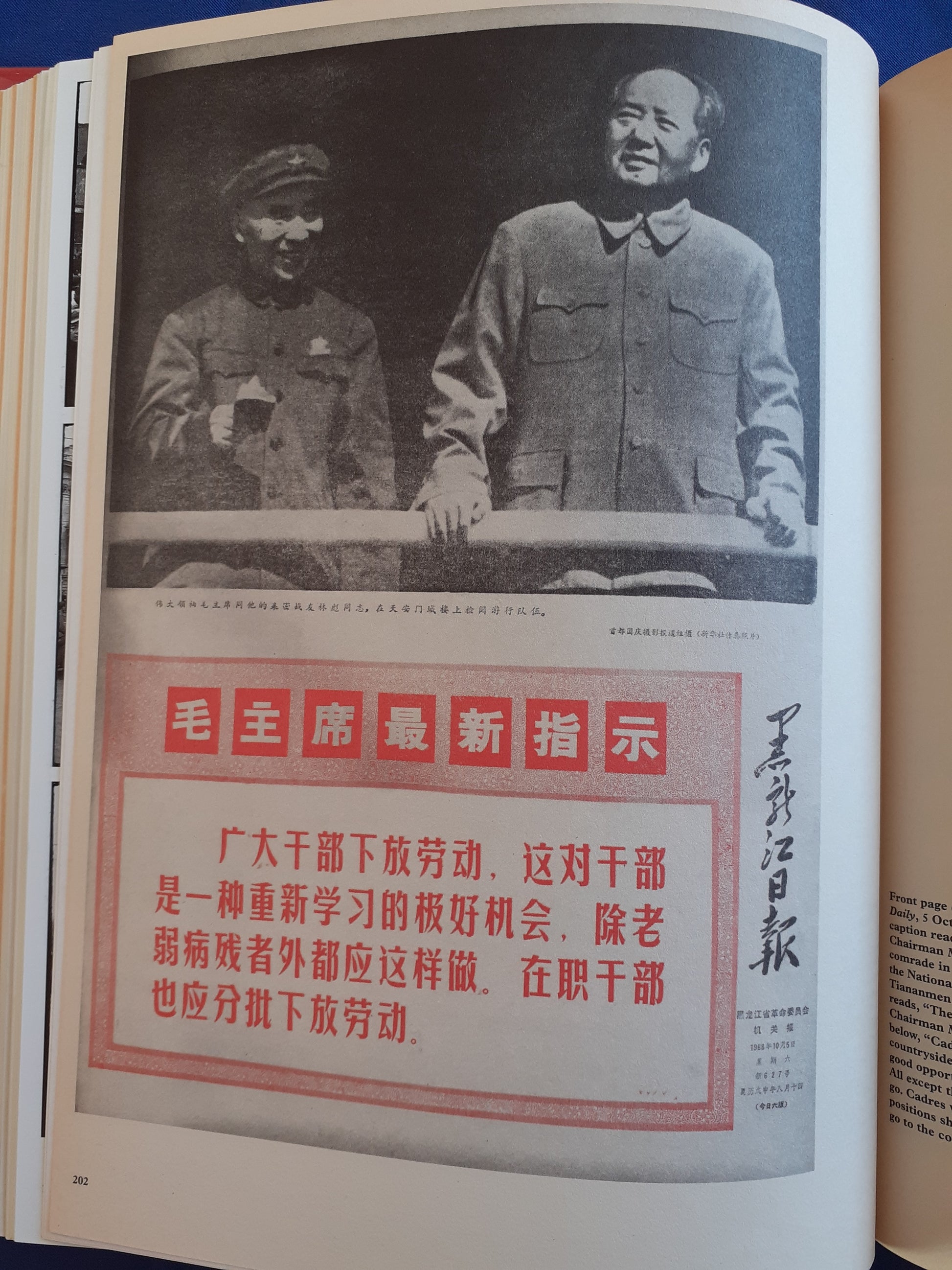 china, chinese history, cultural revolution china, history, history books, used books - Best Books